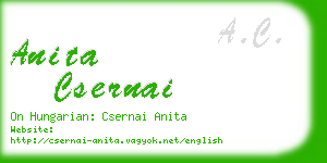 anita csernai business card